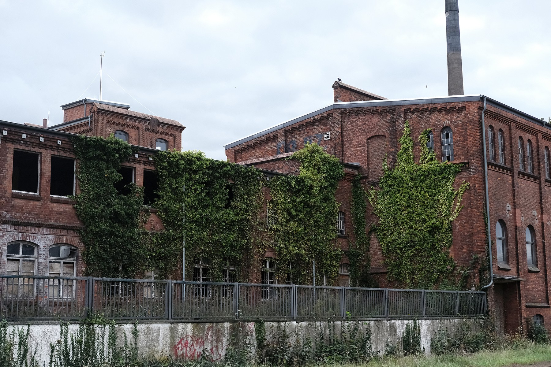 postcard_kaffee-hag-03