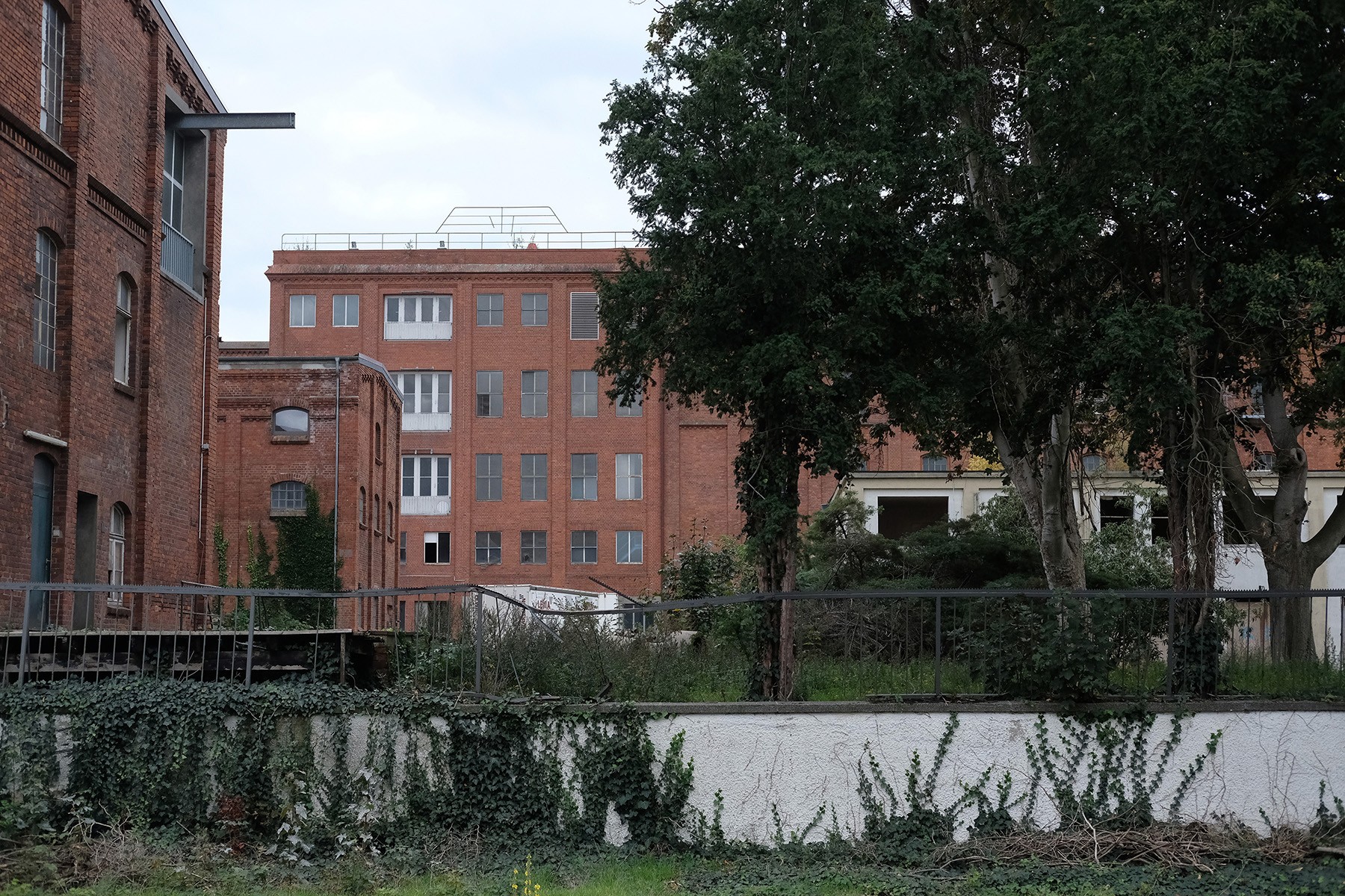 postcard_kaffee-hag-02